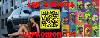 стаф Бузулук