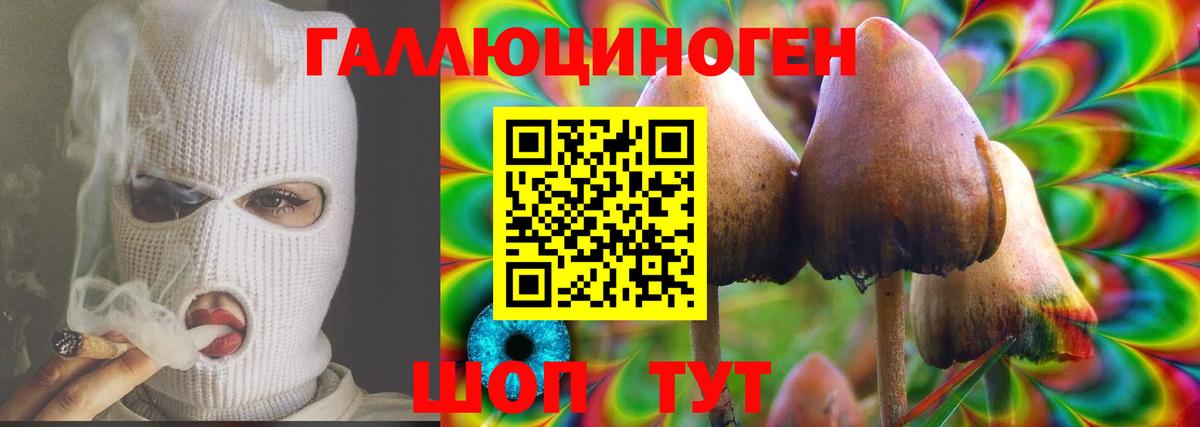 Галлюциногенные грибы GOLDEN TEACHER Кыштым